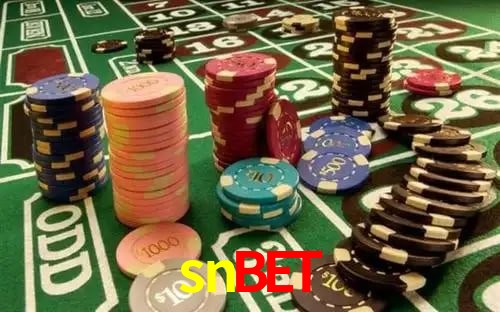 Apostas com odds competitivas na snbet