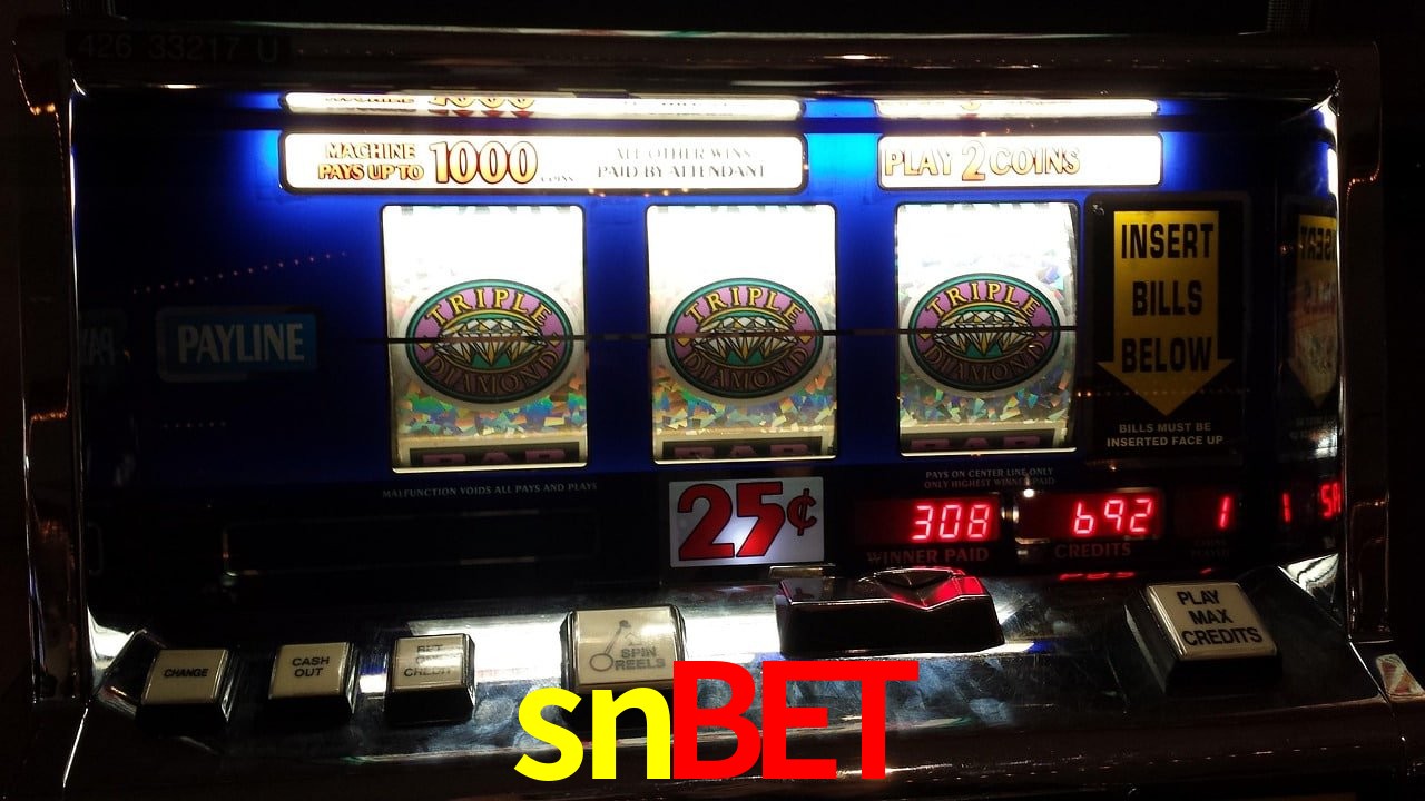 Sports Statistics snbet